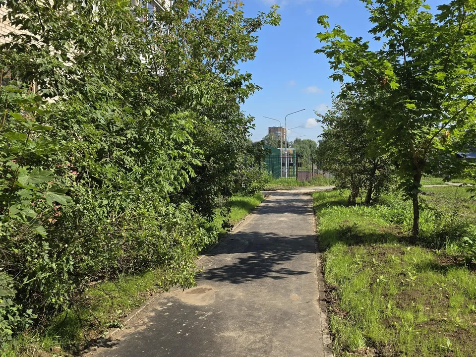 Фото: Марина Анисимова