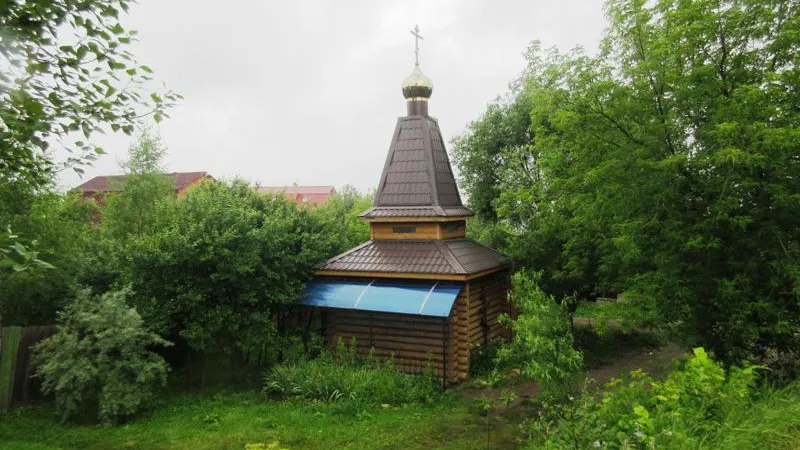 Антон Саков / Подмосковье сегодня