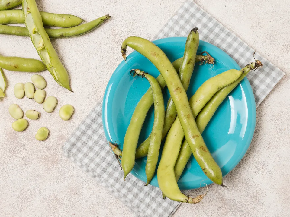 Фото: freepik.com