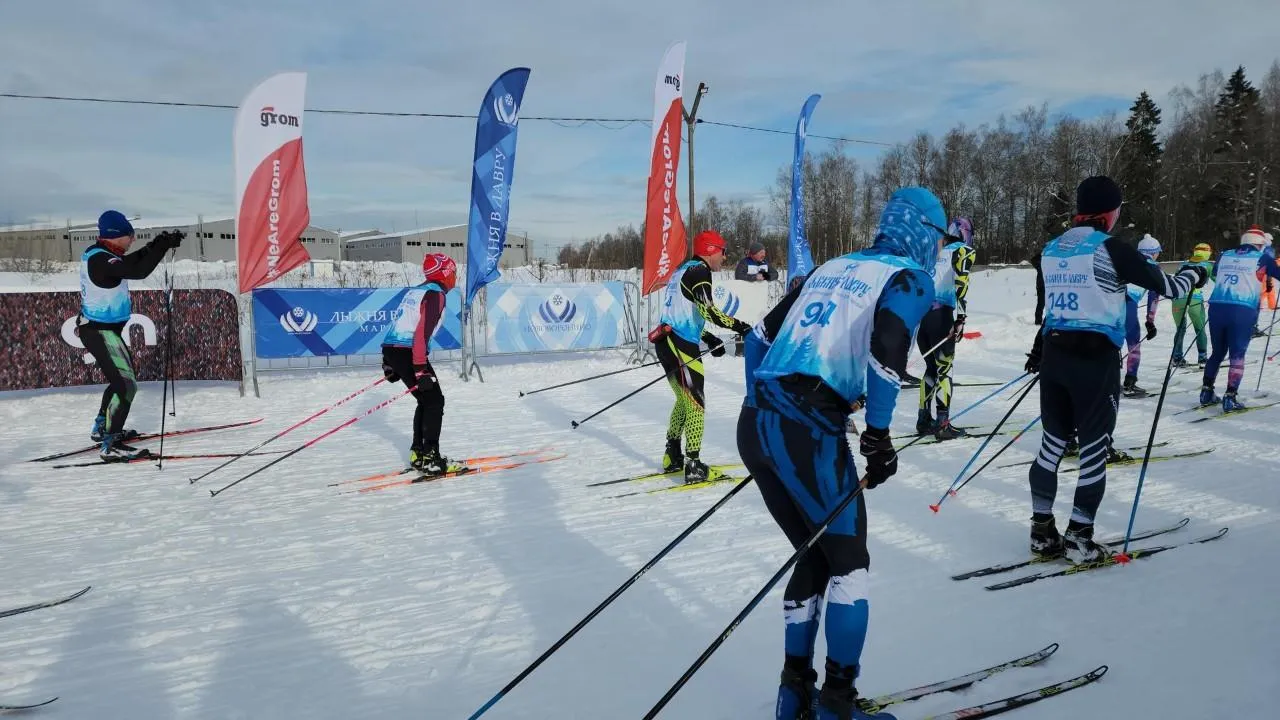 REGIONS/Елена Шумакова