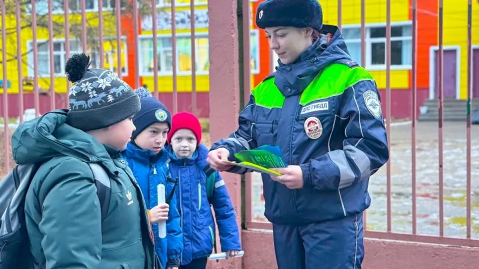 Фото: пресс-служба ГУ МВД России по Московской области