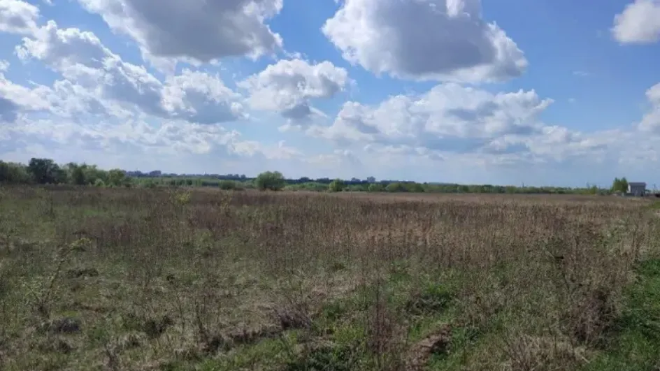 Фото: Комитет по конкурентной политике МО