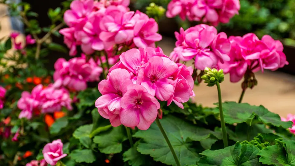 Фото: istockphoto.com