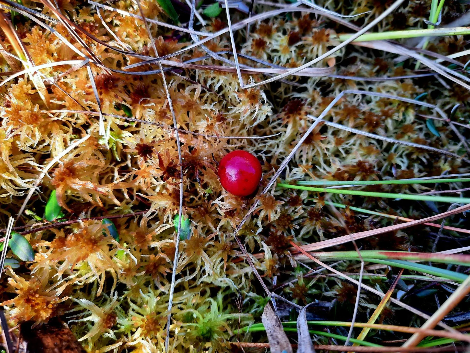 Михаил Мартыненко