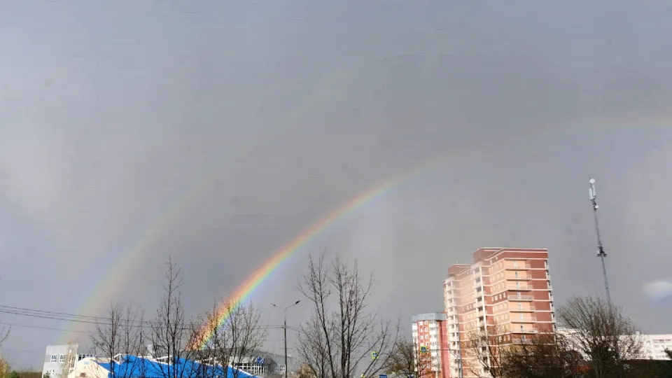 Фото: МедиаБанк Подмосковья/Мария Панина