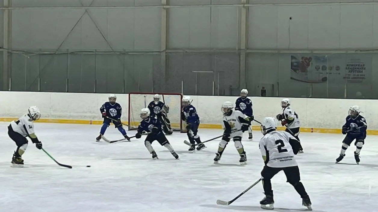 Фото: управление по физической культуре и спорту администрации г.о. Электросталь