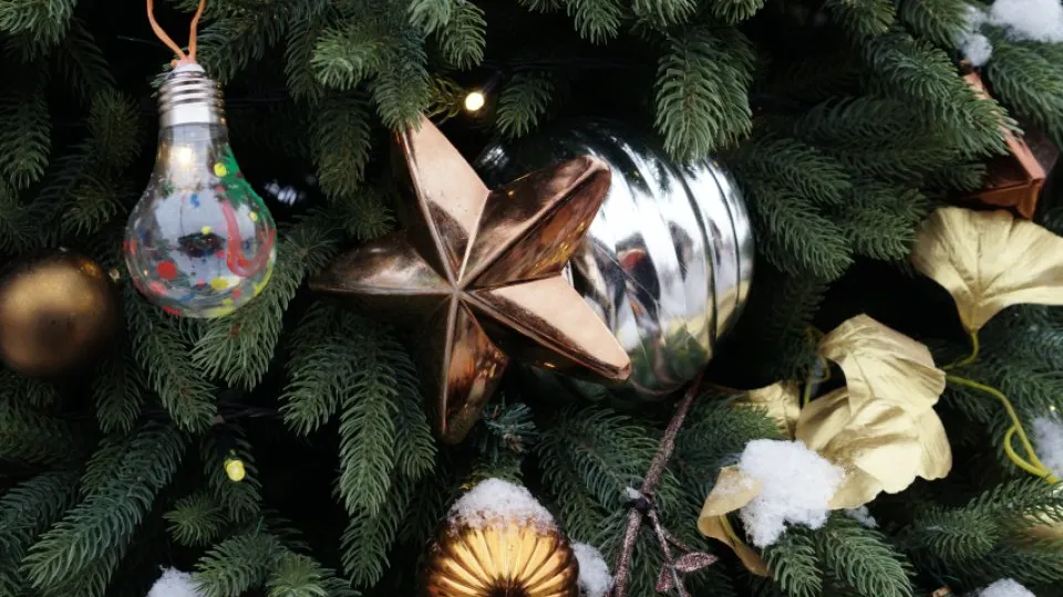 Фото: REGIONS/Дарина Левкина