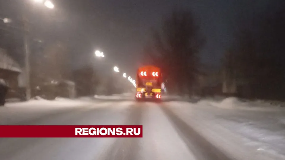 Фото: REGIONS/Василий Тремасов