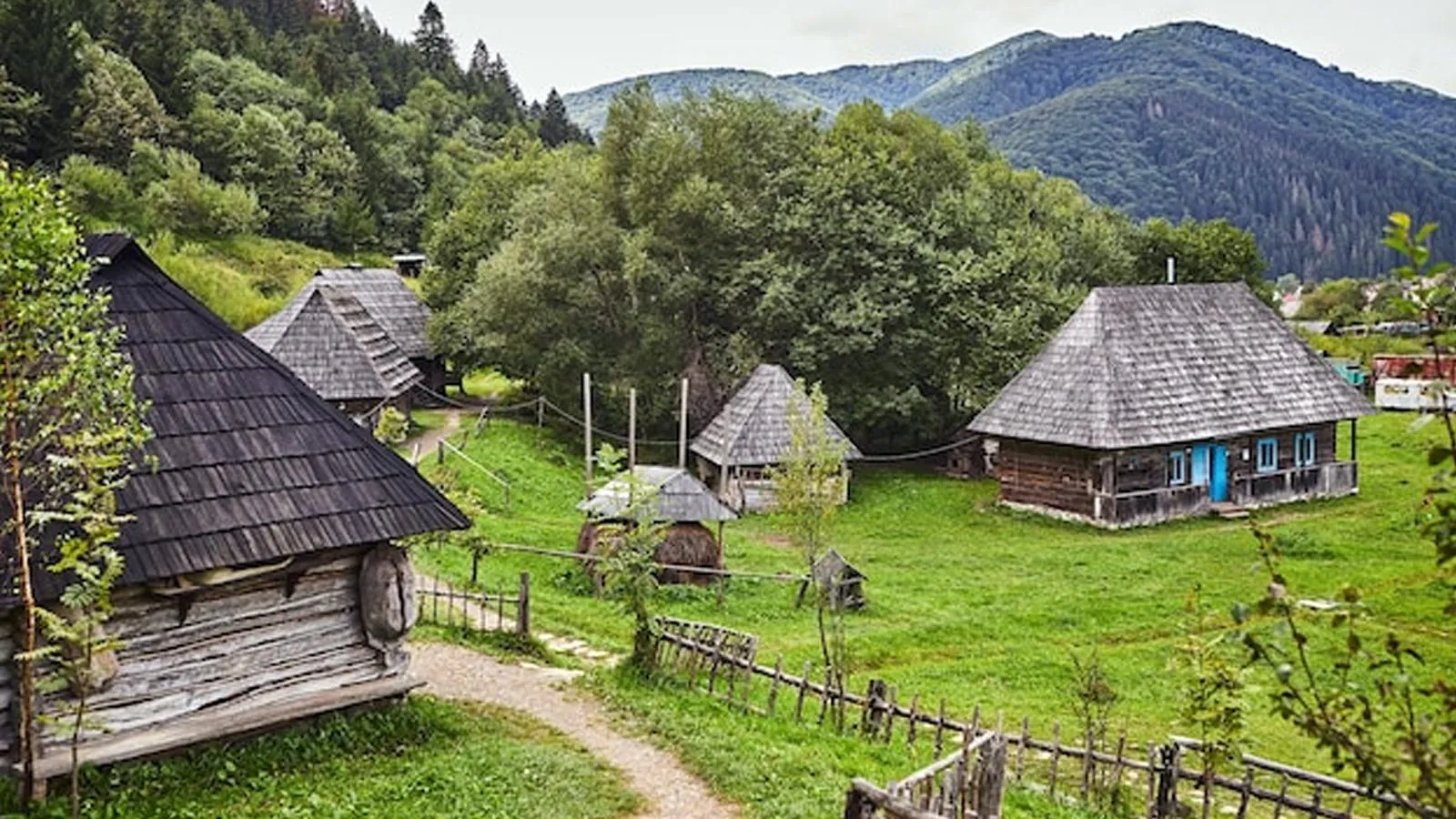 Закарпатье. Фото freepik.com