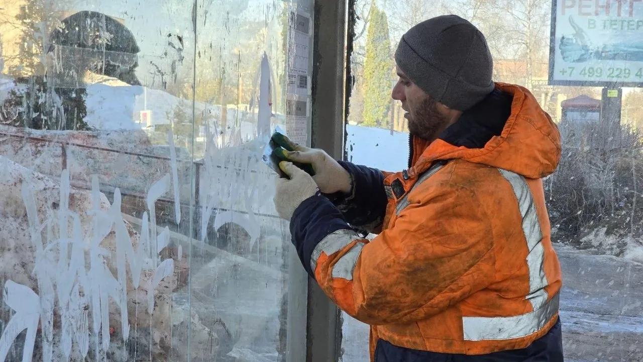 REGIONS/Яна Шаливская