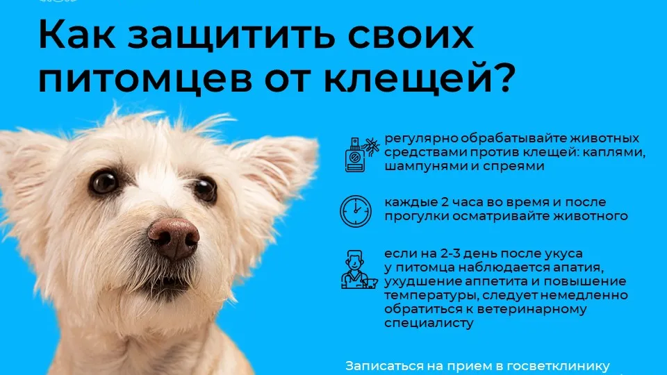 Фото: министерство сельского хозяйства и продовольствия Московской области