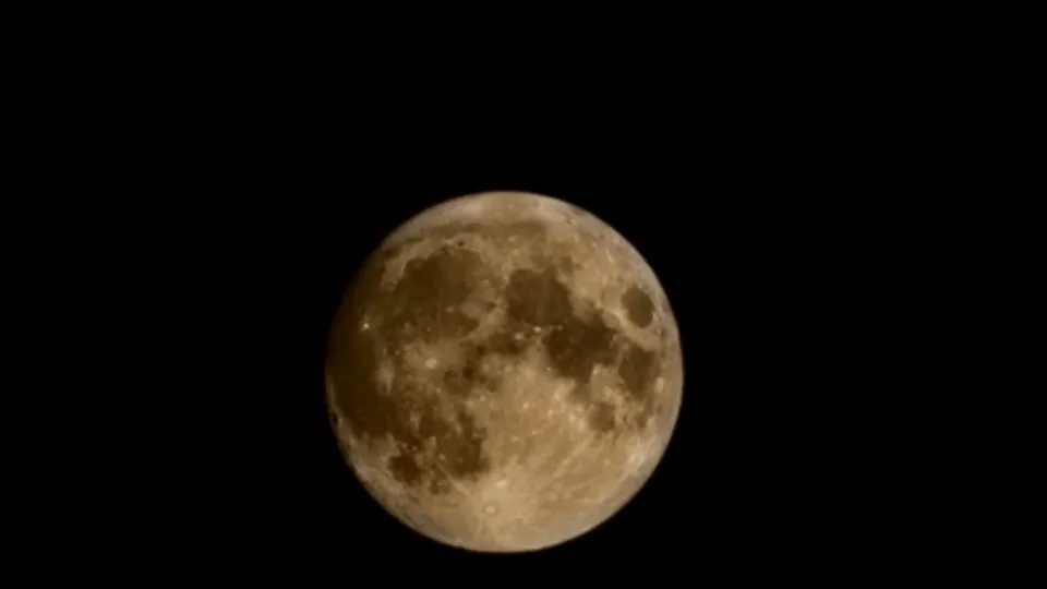 Фото: МедиаБанк Подмосковья/Дарья Леонова