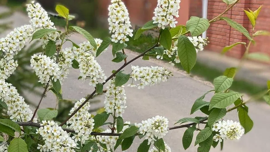 Фото: Минэкологии МО