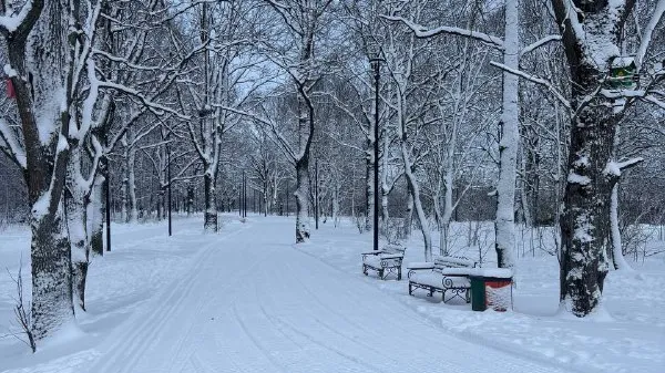Фото: парк «Дубки»