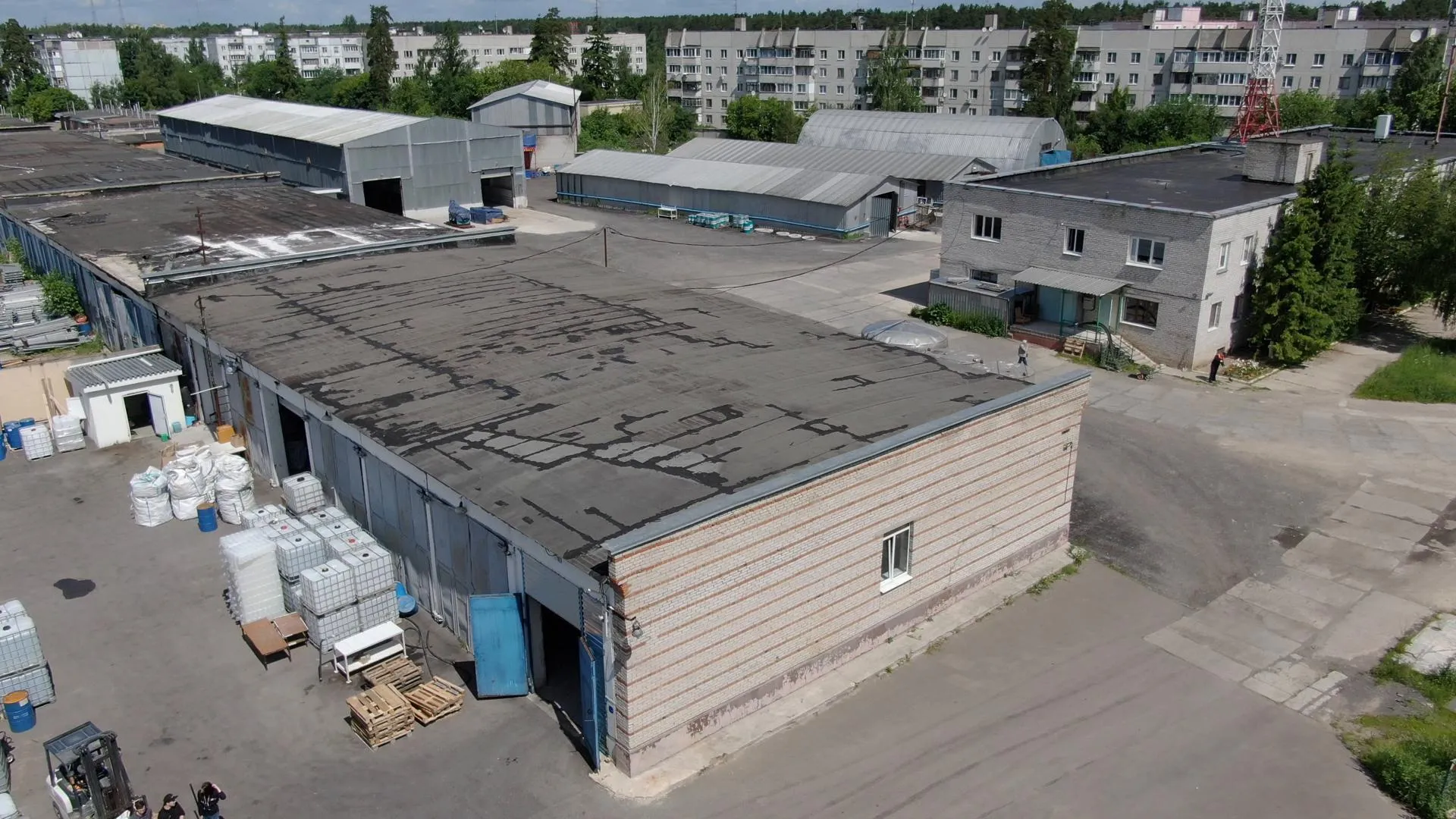 Ксения Борцова