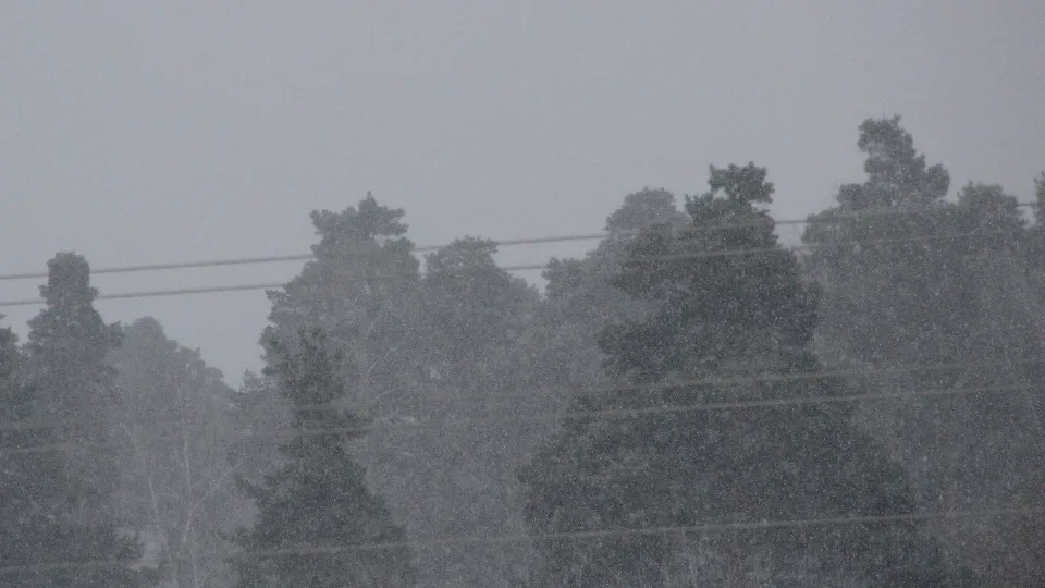 Фото: REGIONS/Василий Тремасов