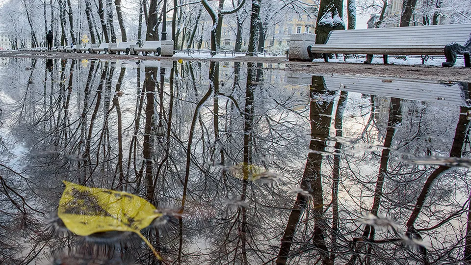 Фото: ТАСС/Сергей Ермохин