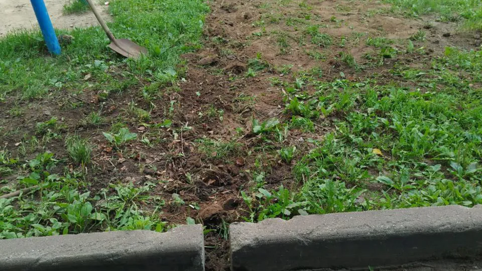 Фото: пресс-служба администрации г.о. Пушкинский