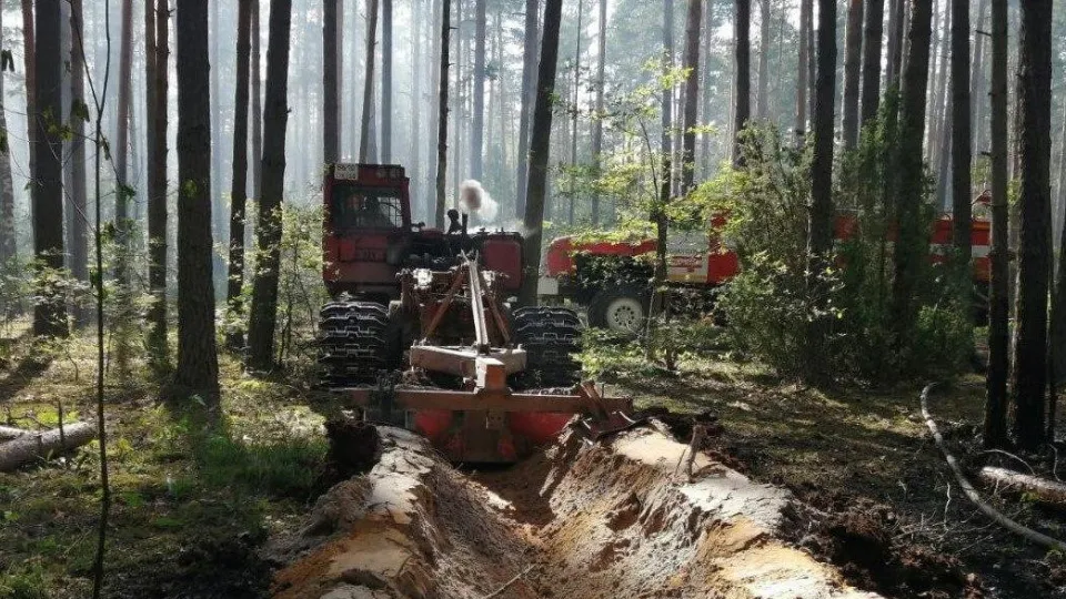 Фото: Комитет лесного хозяйства Московской области