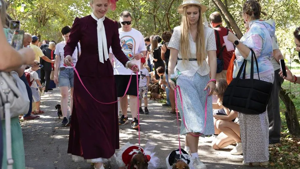 Минкультуры МО