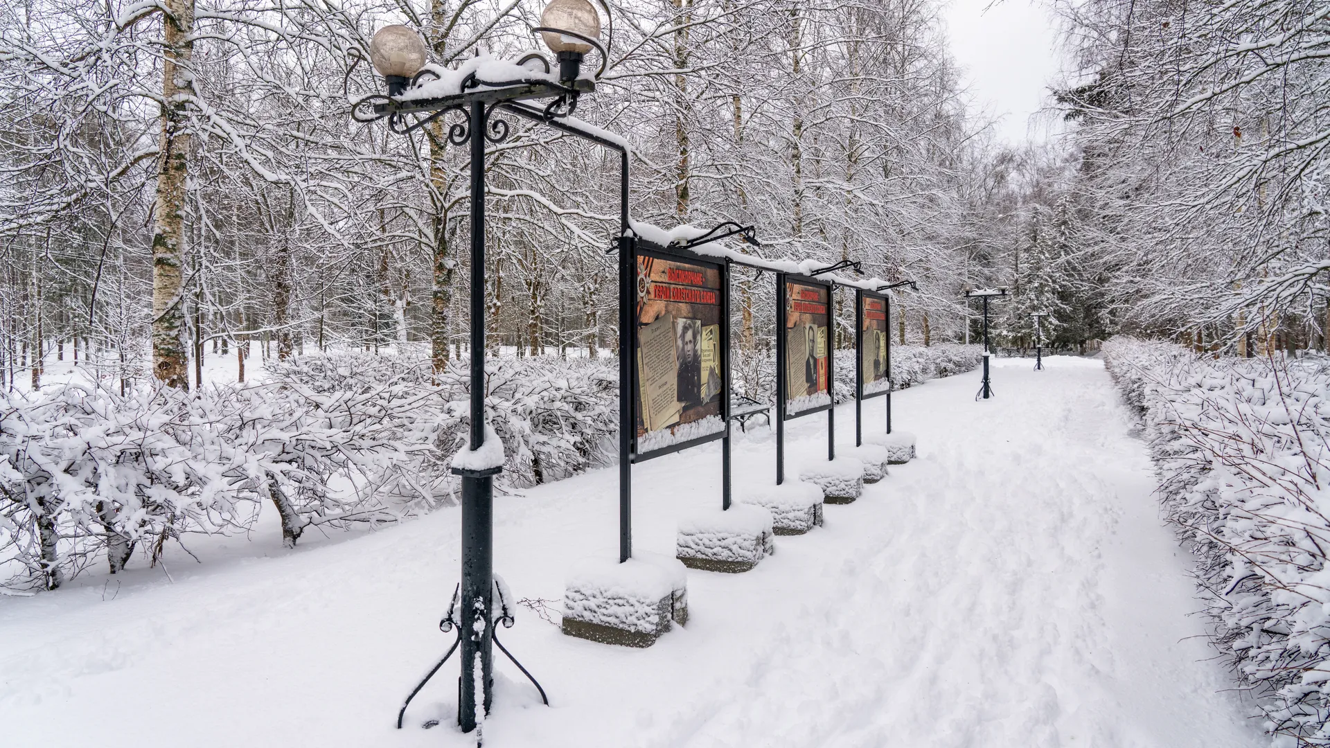 Аллея в Высоковском городском парке культуры и отдыха «Березовый» в округе Клин зимой