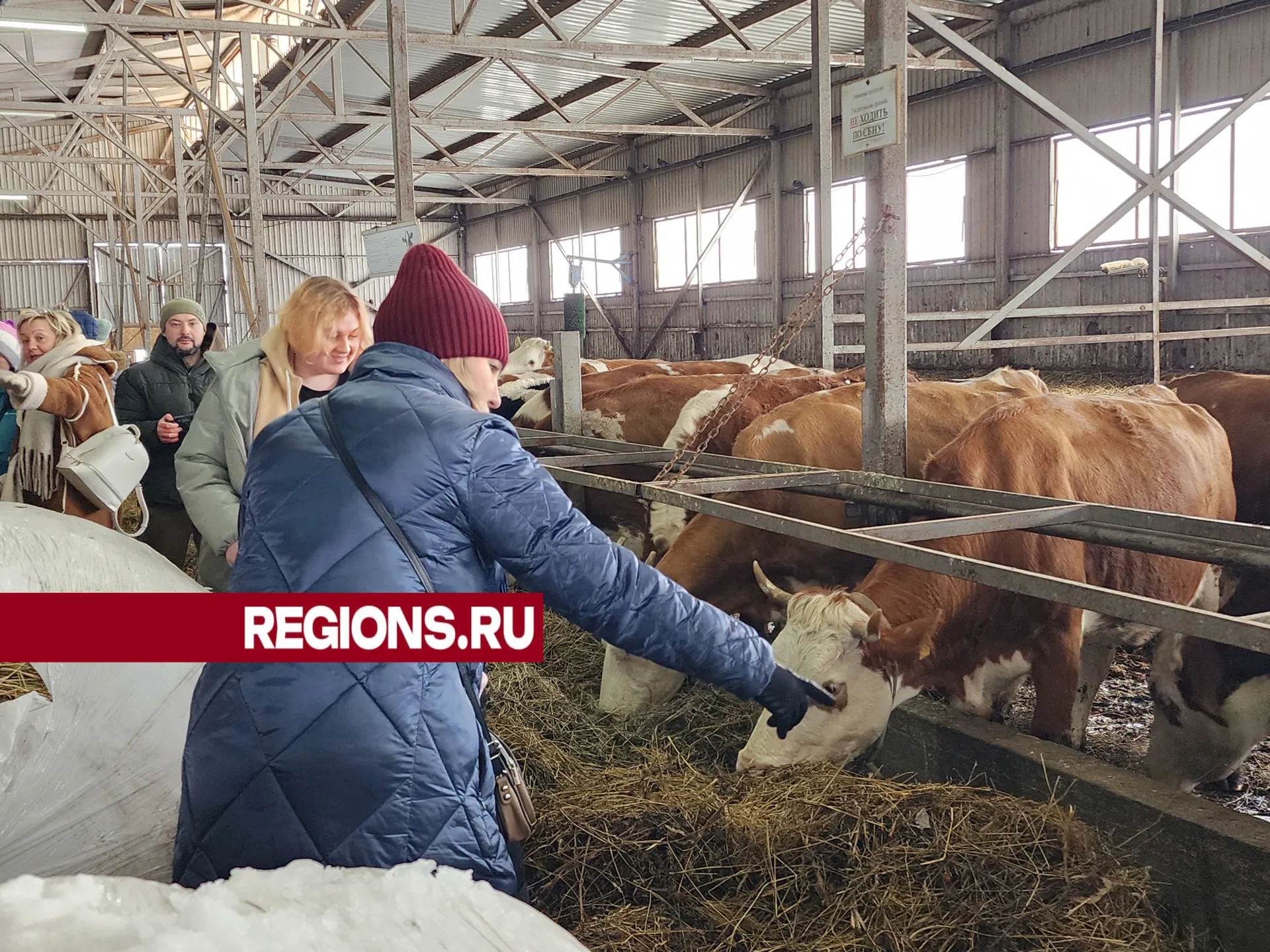 Фото: Светлана Борщева