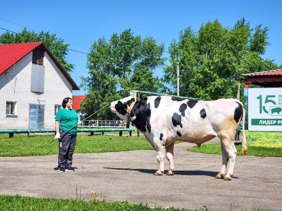 Фото: Мария Андрюхина