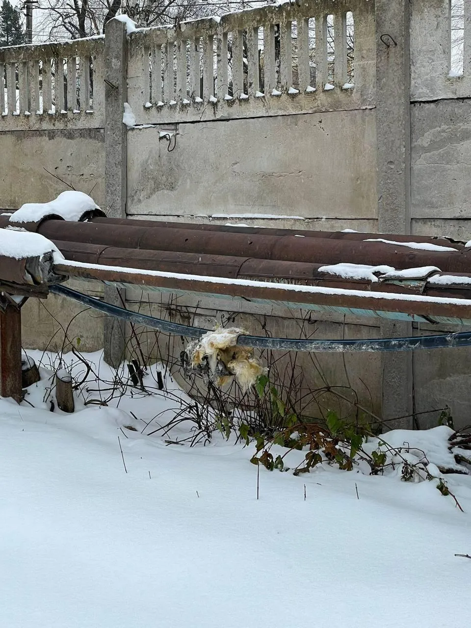 Фото: соцсети