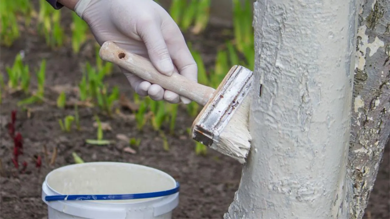 istockphoto.com/Anna Solovei