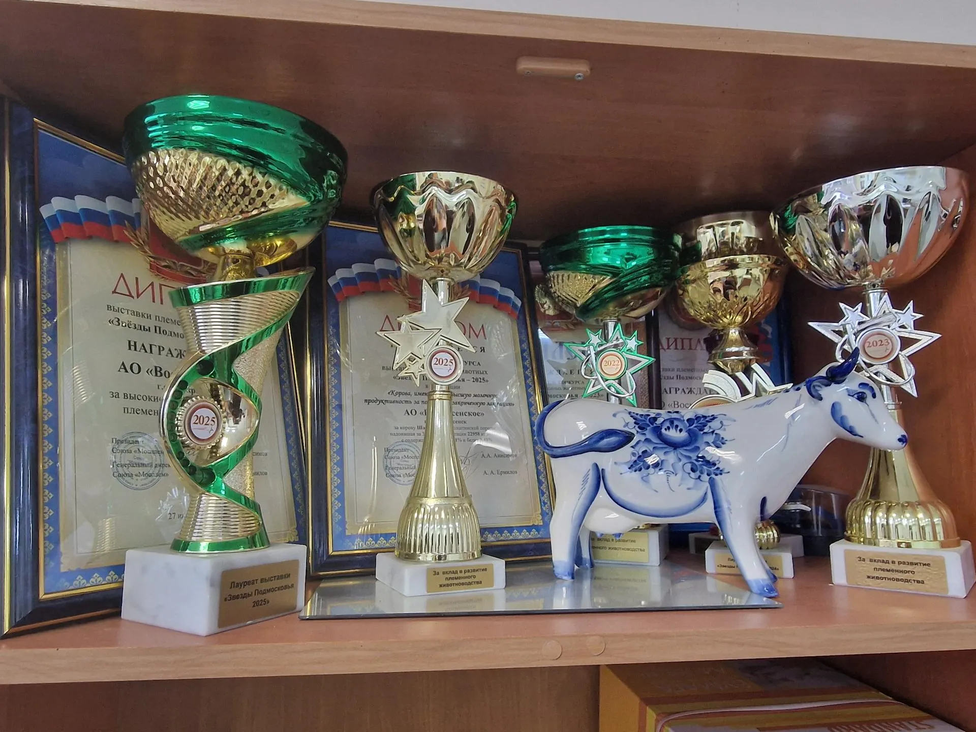 Фото: REGIONS/Ольга Шаронова