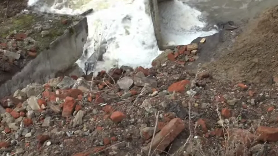 Фото: telegram/Собакин Official