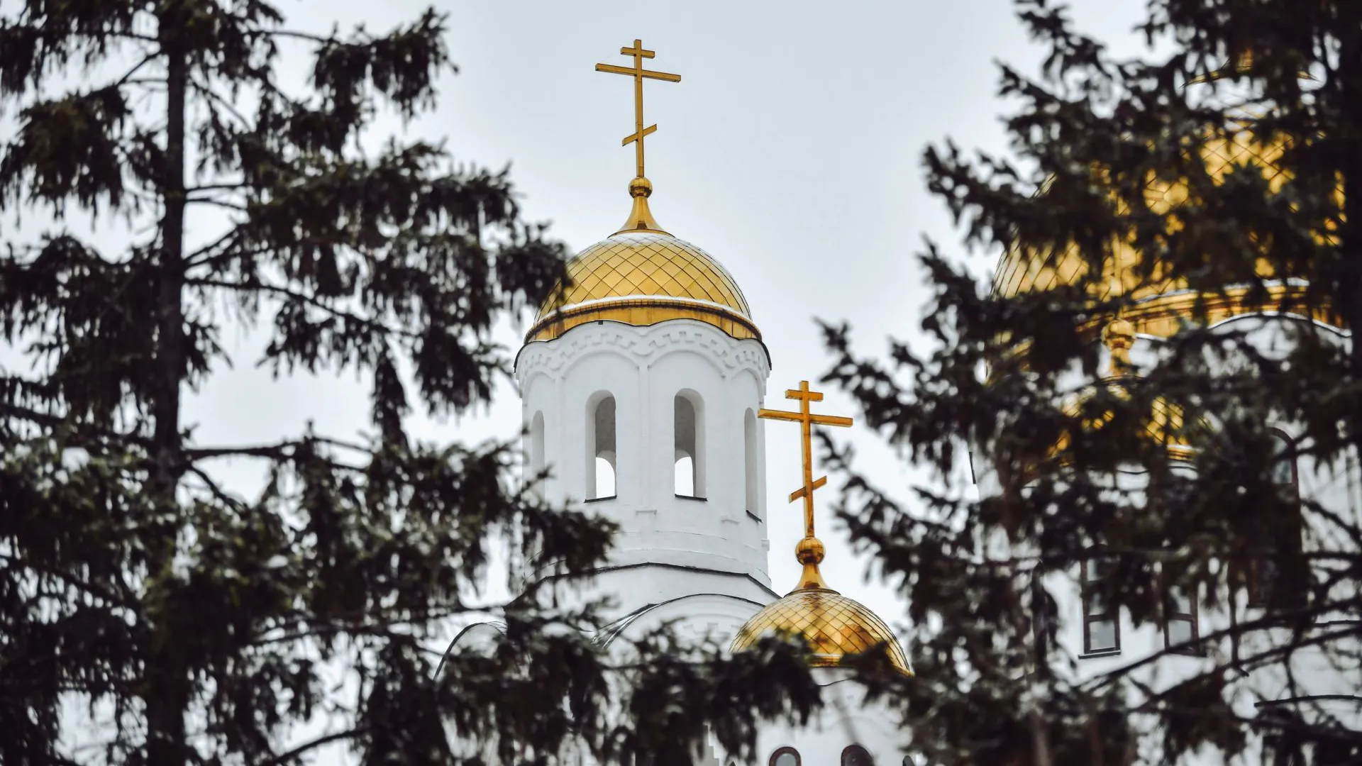 Пресс-служба администрации городского округа Химки