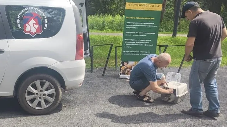 Фото: пресс-служба администрации м.о. Истра