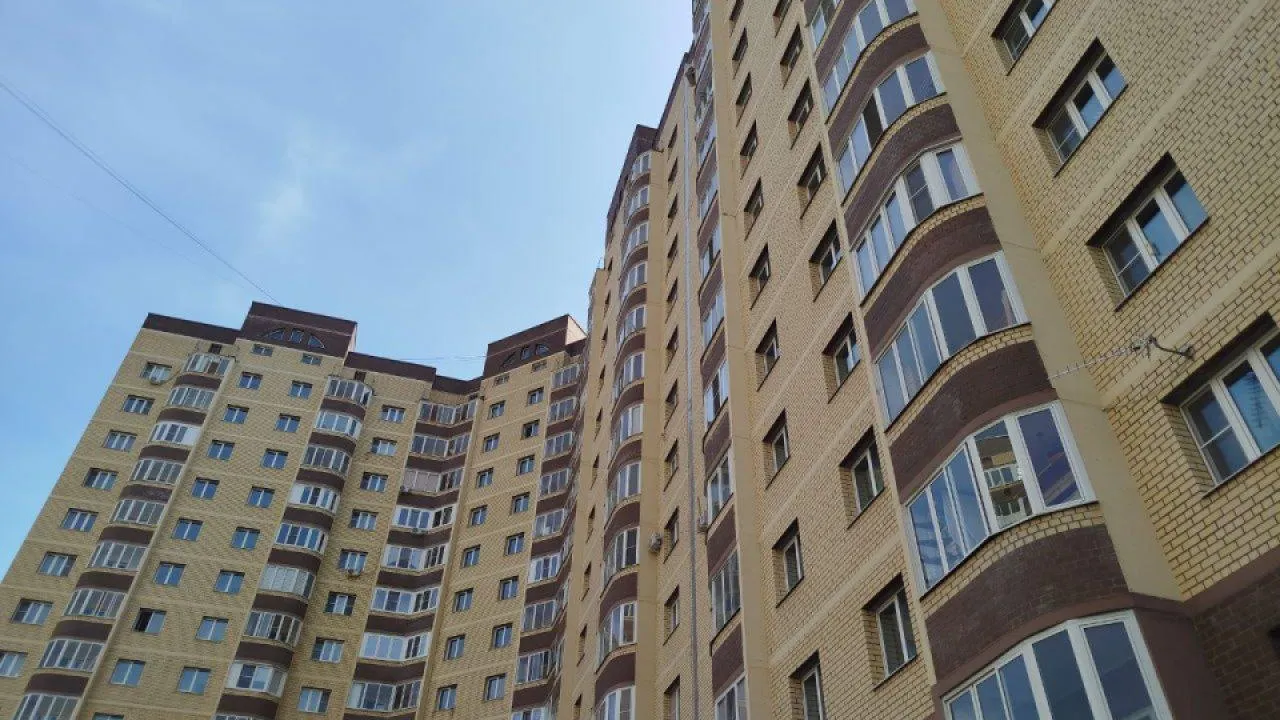 Подмосковье сегодня/Наталья Дорофеева