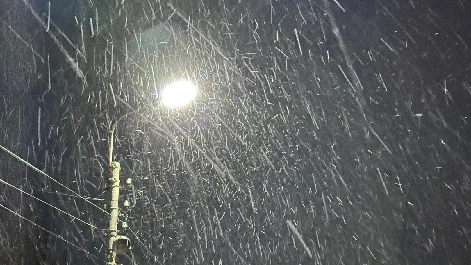 Фото: Родина - Снегири. Истринский городской округ / ВКонтакте