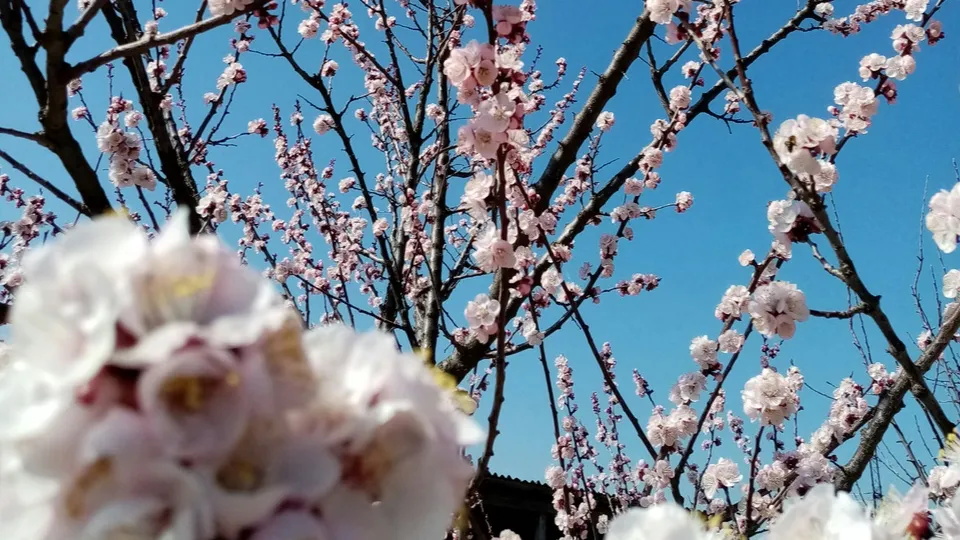 Фото: unsplash.com