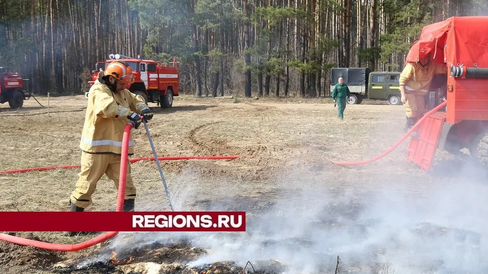 Фото: REGIONS/Александр Дрожжин