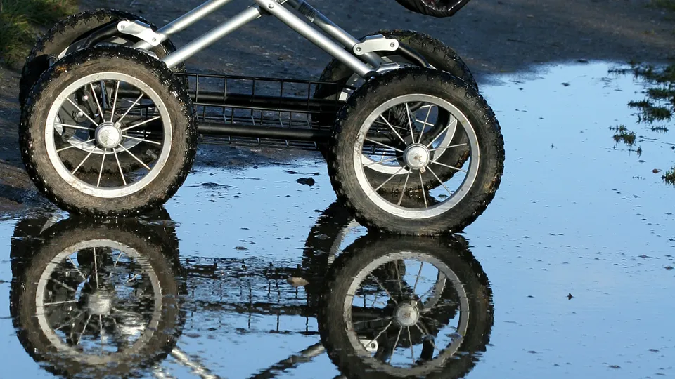 Фото: istockphoto.com