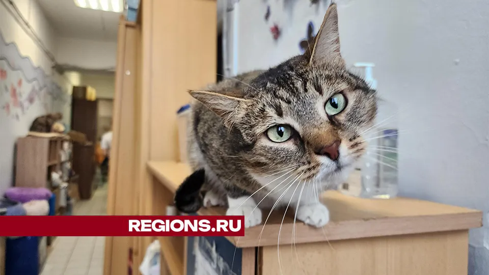 Фото: Максим Сафронов