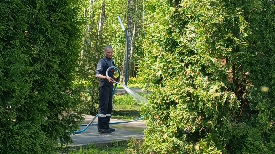 Фото: Медиабанк Подмосковья/Екатерина Дятловская