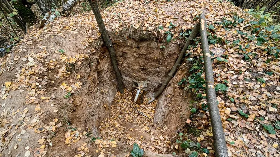 Фото: архив Московское областное отделение ВООПИК