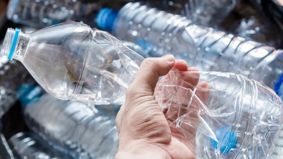 Фото: istockphoto.com