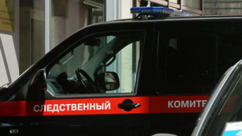 В Видном проломили череп пенсионерке