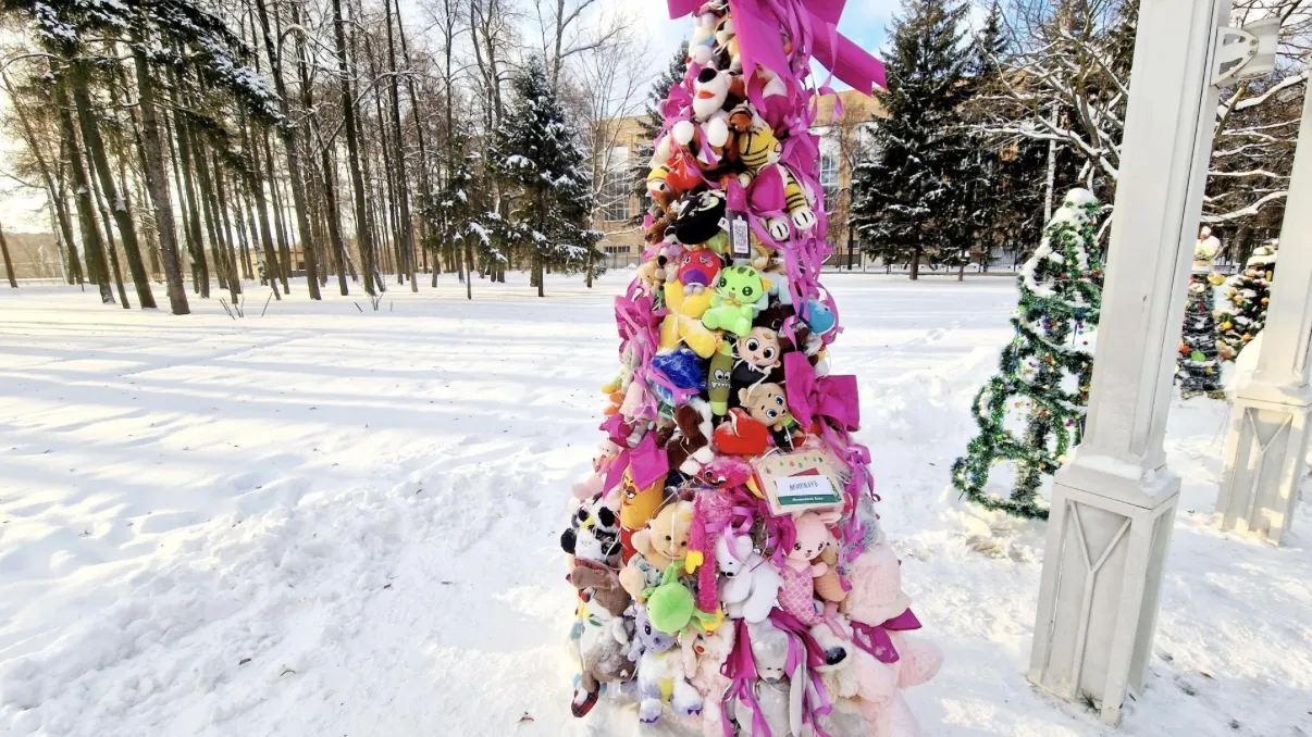 Фото: REGIONS/Ольга Шаронова