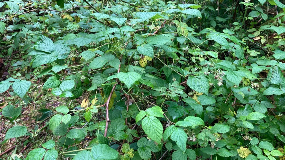 Фото: REGIONS\Екатерина Сарычева