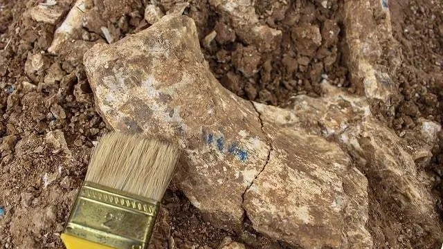 Фото находки из соцсетей