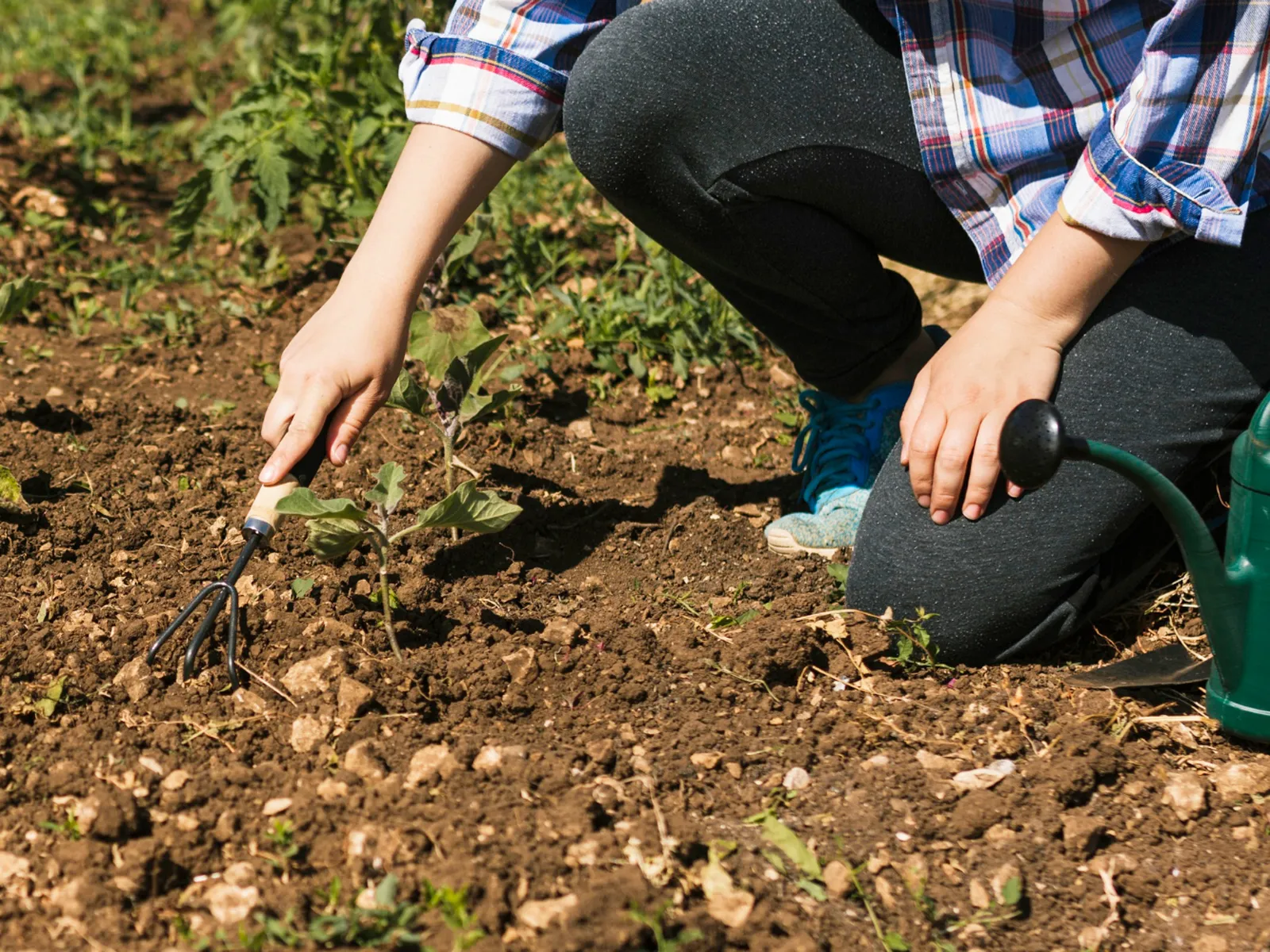 Фото: freepik.com