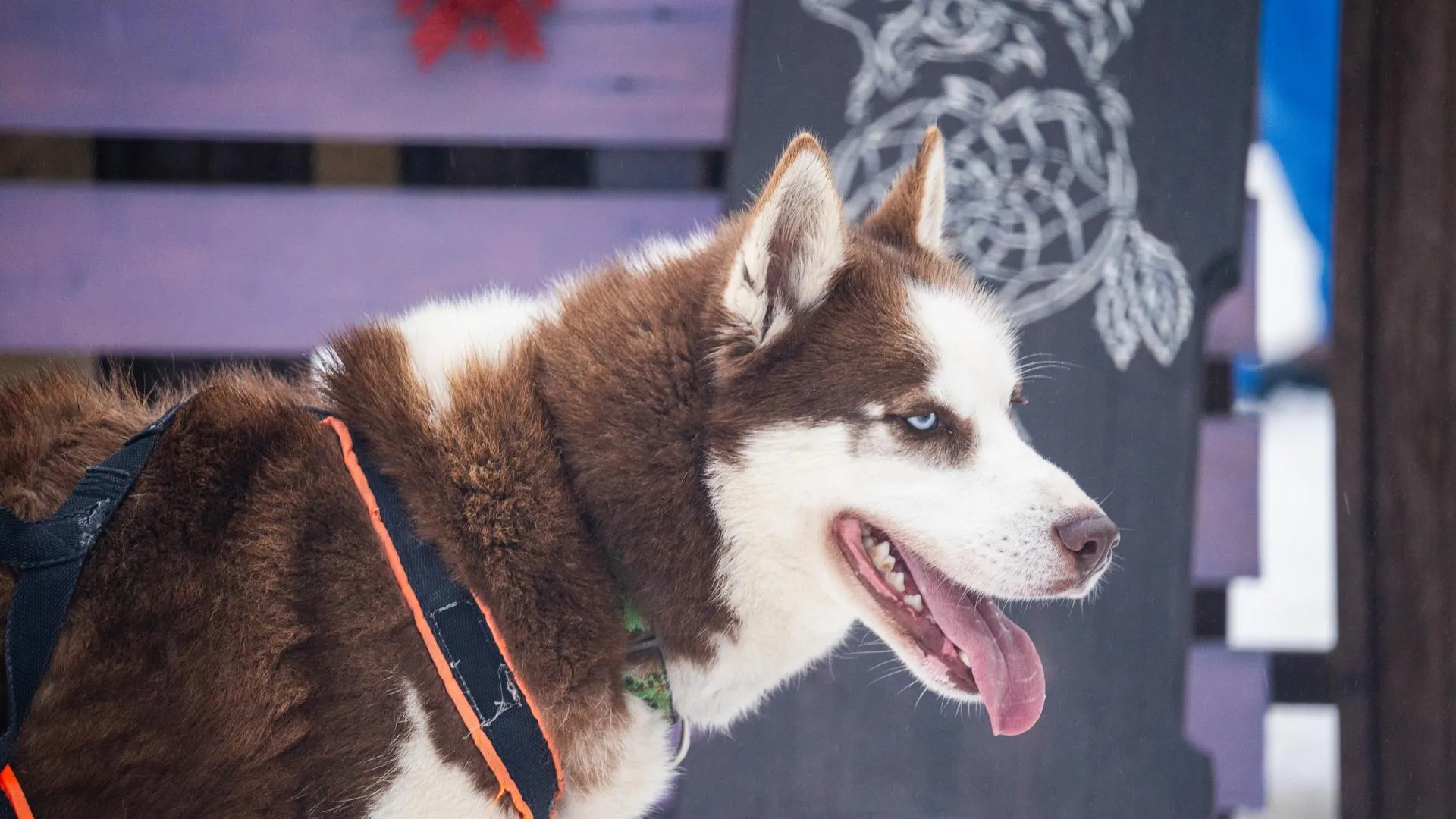 Фото: медиасток.рф