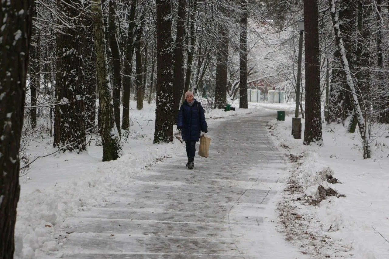 Фото: пресс-служба администрации Протвино