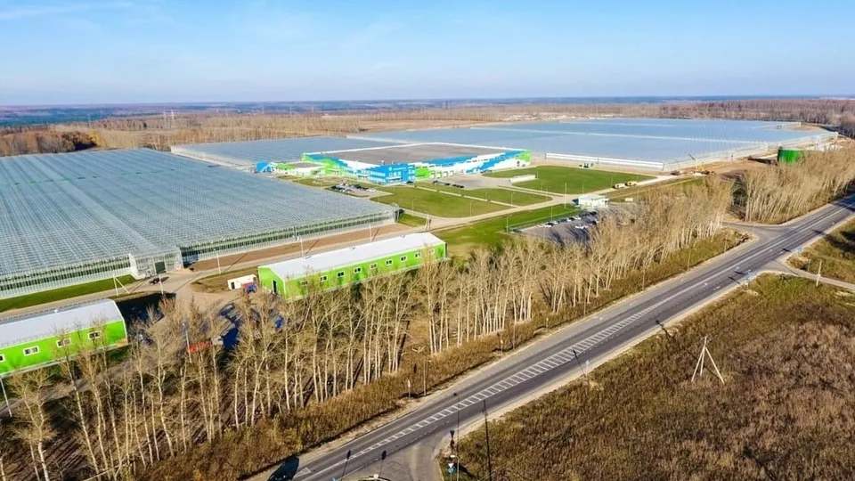 Фото: пресс-служба администрации г. о. Кашира